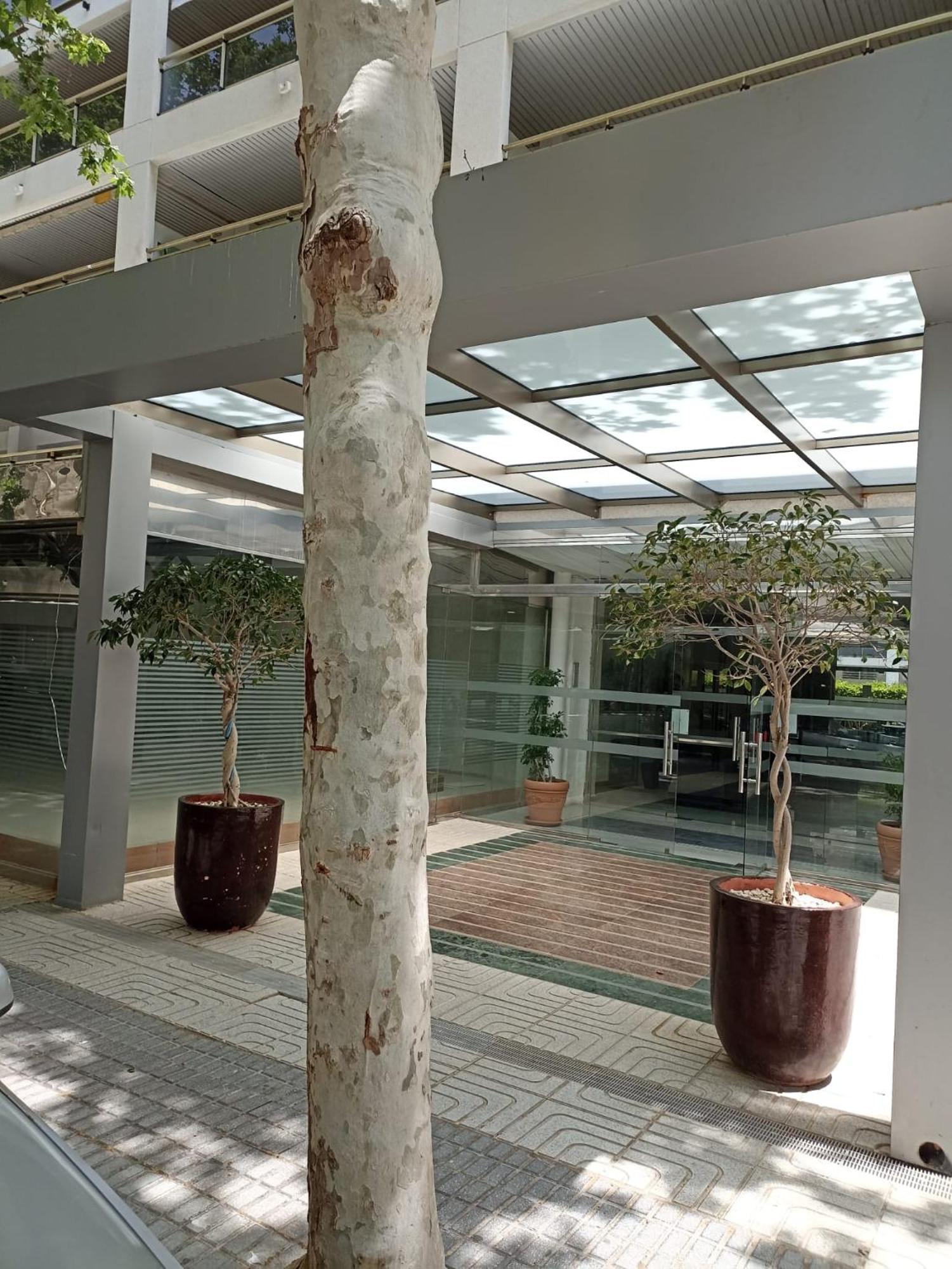Michelangelo Apartment Салоу Екстериор снимка